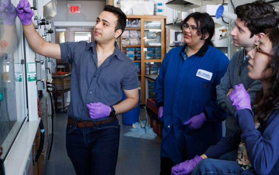 Four people looking at a whiteboard in a Columbia University lab